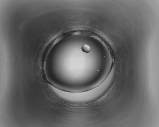 X0000116131261200911231228