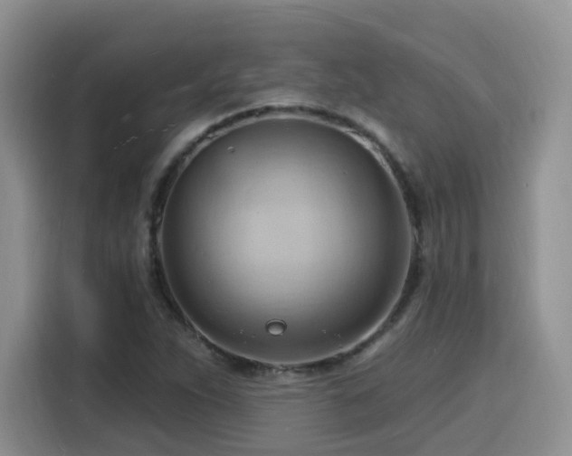 X0000116131263200911231228