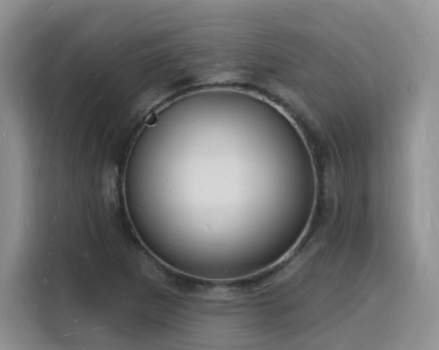 X0000116131265200911231228