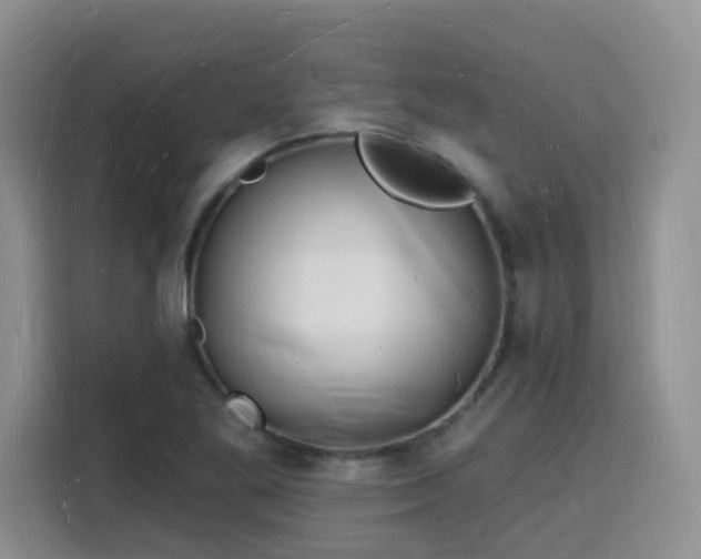 X0000116131269200911231228
