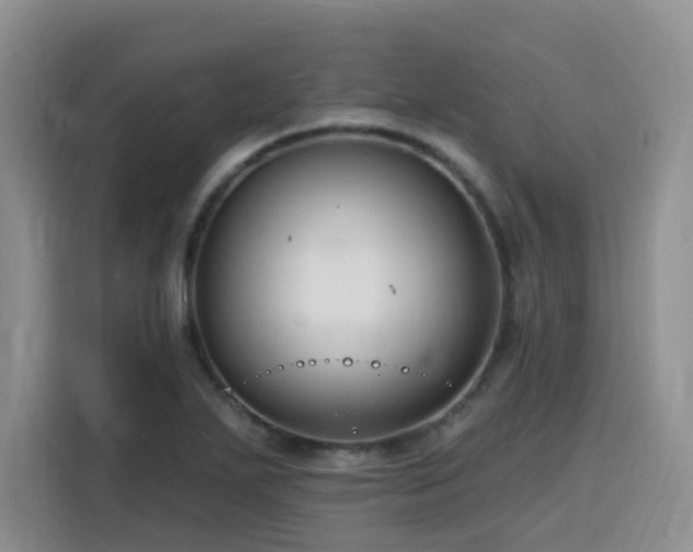 X0000116131271200911231228