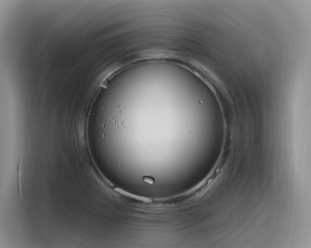 X0000116131273200911231228