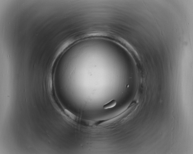 X0000116131274200911231228