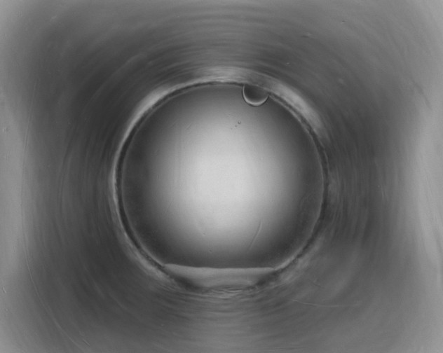 X0000116131283200911231228