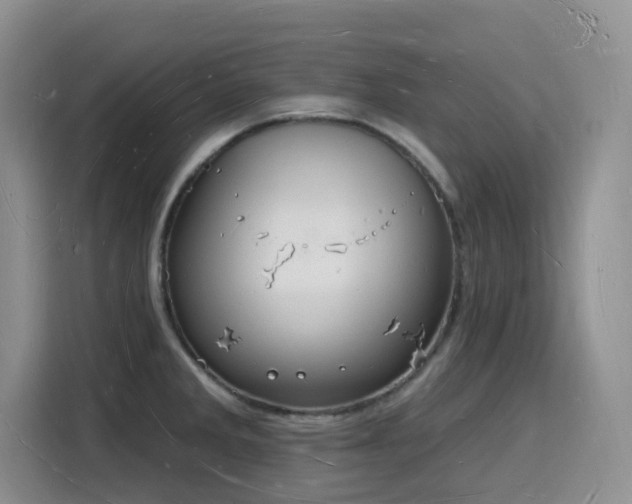 X0000116131285200911231228