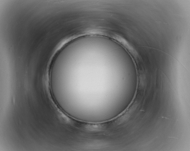 X0000116131286200911231228