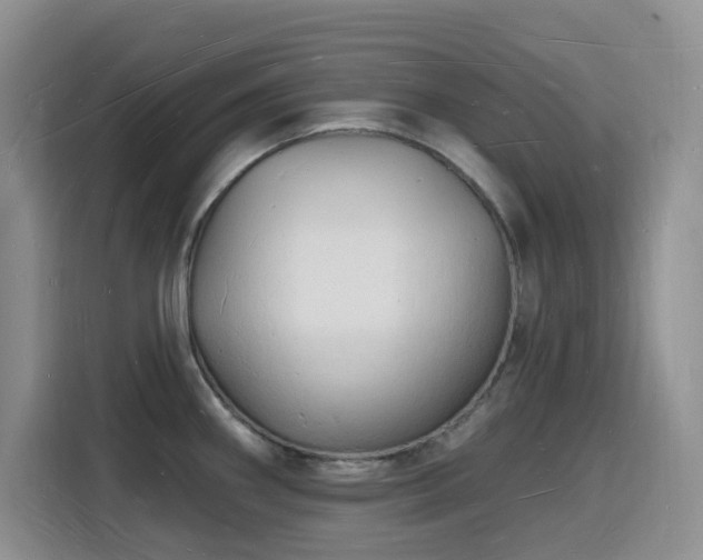 X0000116131290200911231228