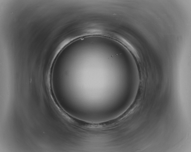 X0000116131291200911231228