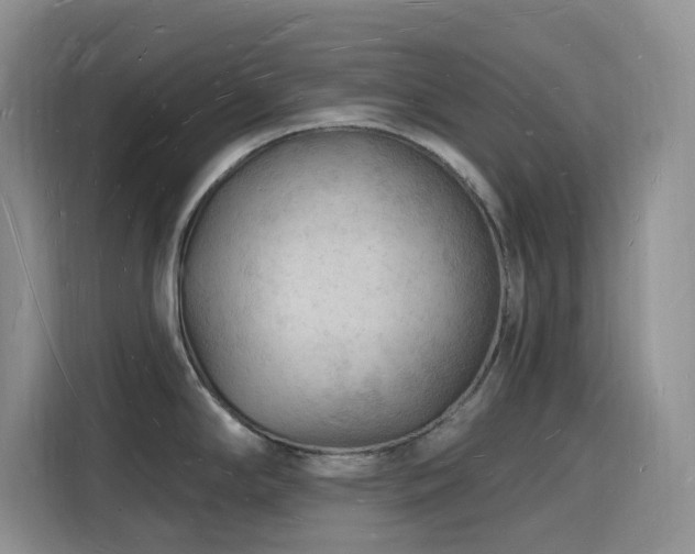 X0000116131294200911231228