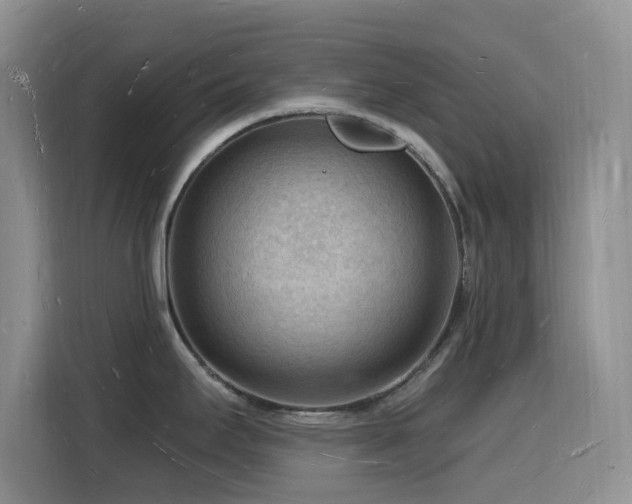 X0000116131295200911231228