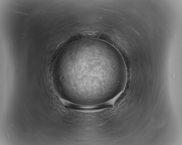 X0000116131297200911231227