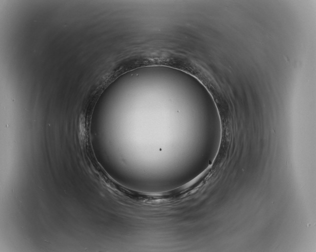 X0000116131298200911231227