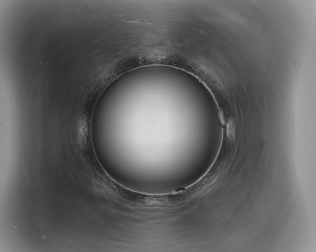X0000116131299200911231227