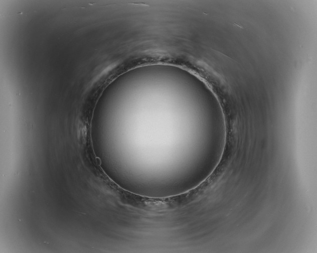 X0000116131302200911231227
