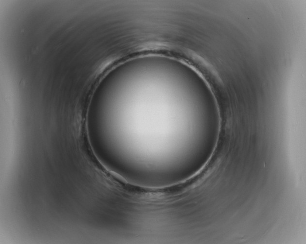 X0000116131313200911231227