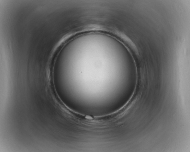 X0000116131318200911231227