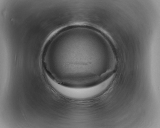 X0000116131319200911231227