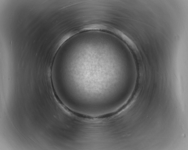 X0000116131329200911231227