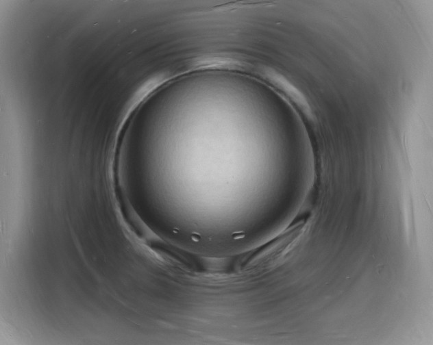 X0000116131330200911231227