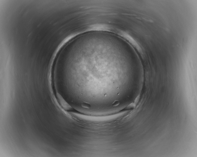 X0000116131331200911231227