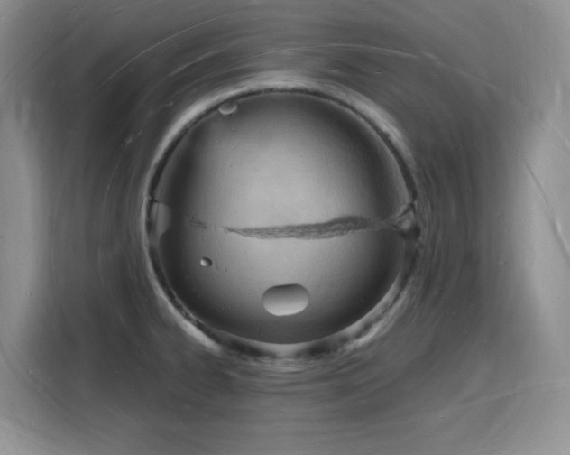 X0000116131334200911231227