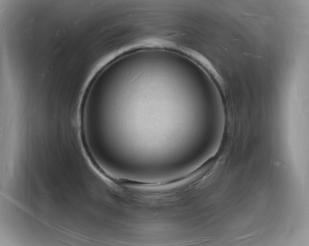 X0000116131335200911231227