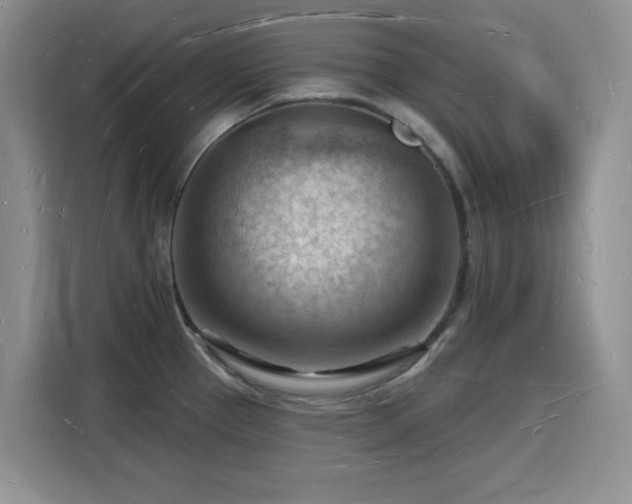 X0000116131337200911231227