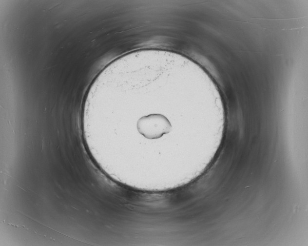 X0000116131338200911231227