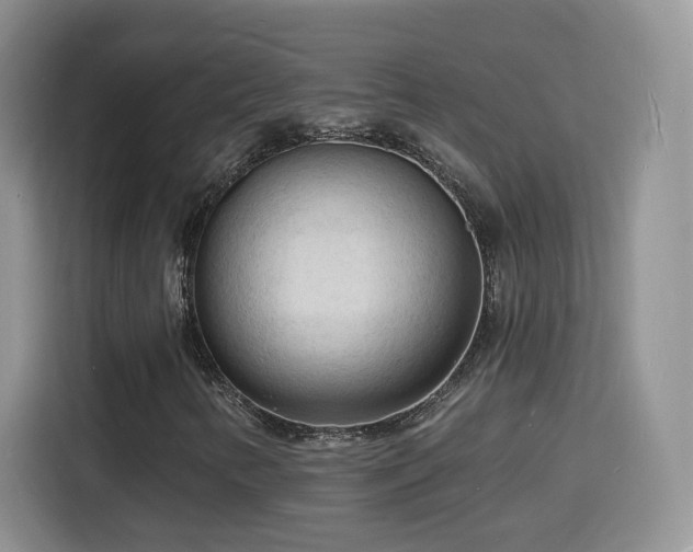 X0000116131346200911231227