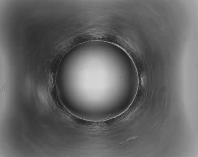 X0000116131347200911231227