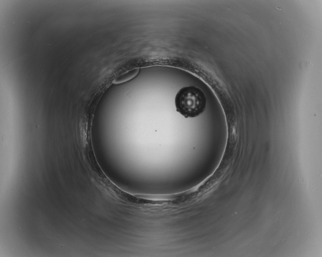 X0000116131348200911231227