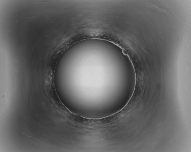 X0000116131349200911231227