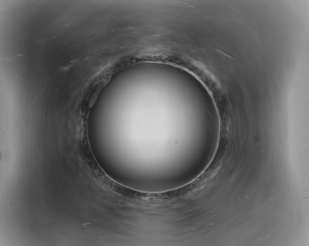 X0000116131350200911231227