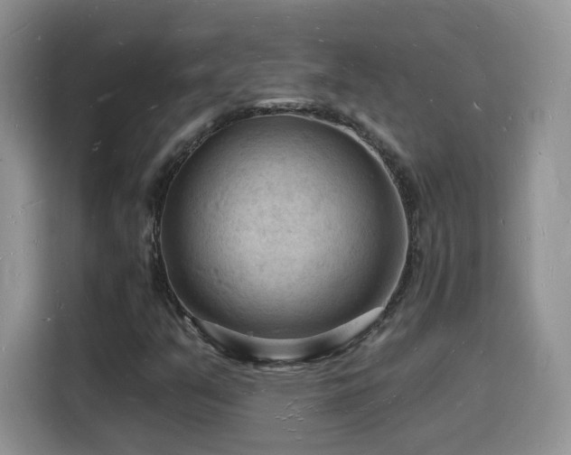 X0000116131351200911231227