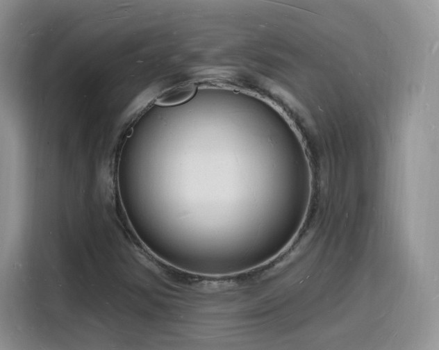X0000116131354200911231227