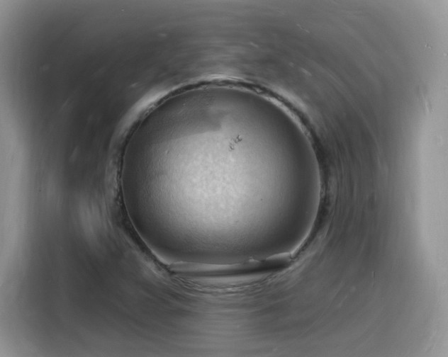 X0000116131359200911231227