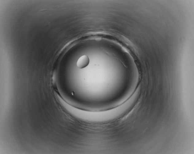 X0000116131361200911231227