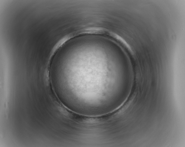 X0000116131362200911231227
