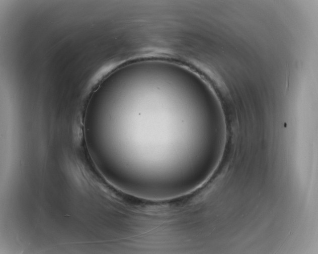 X0000116131363200911231227