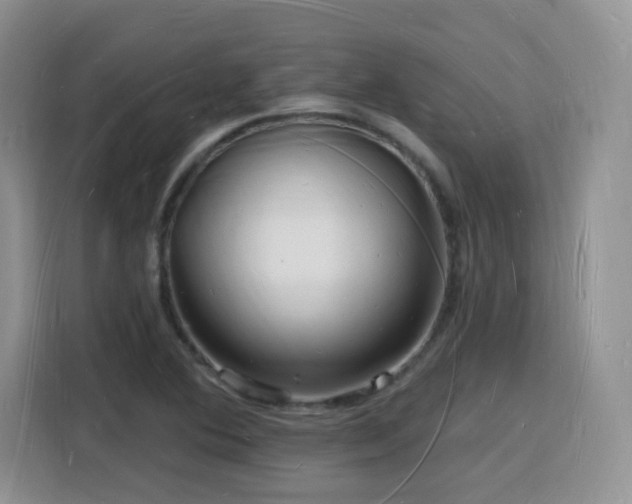X0000116131364200911231227