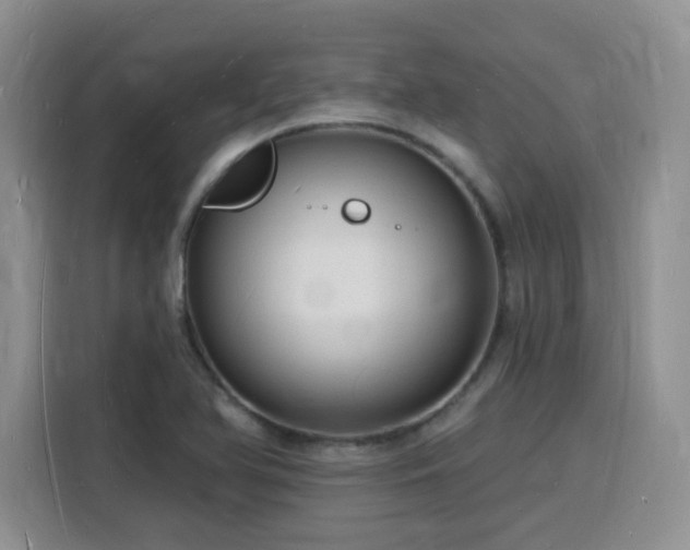 X0000116131366200911231227