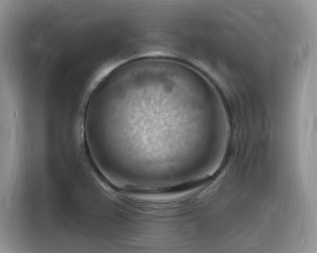 X0000116131367200911231227