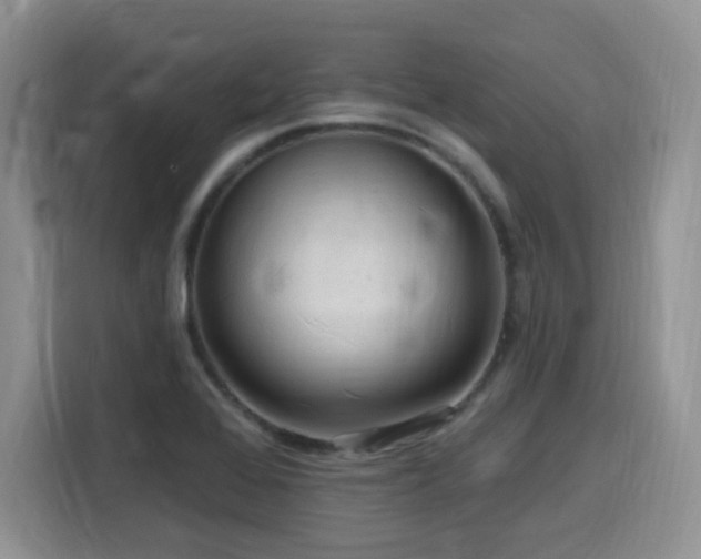 X0000116131368200911231227