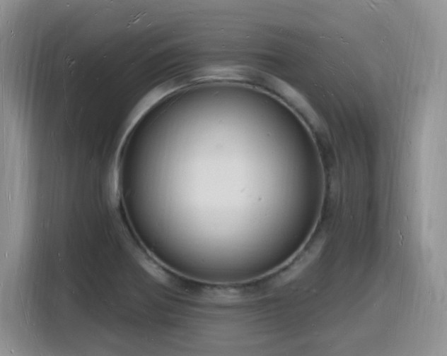 X0000116131370200911231227