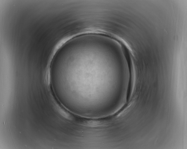 X0000116131371200911231227