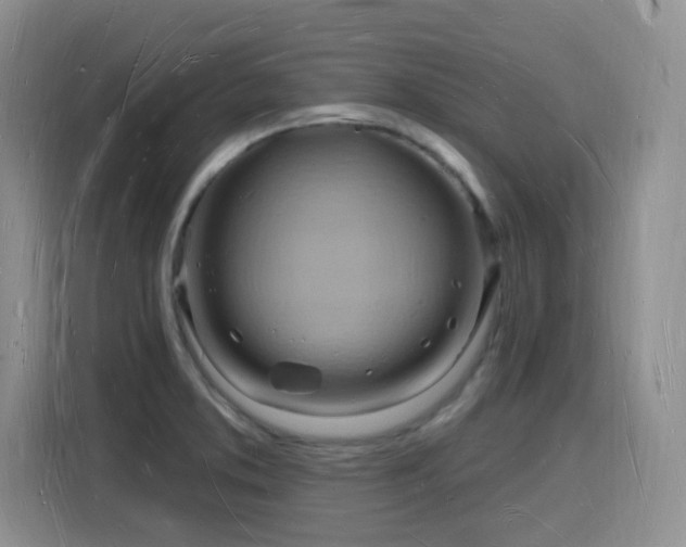 X0000116131373200911231227