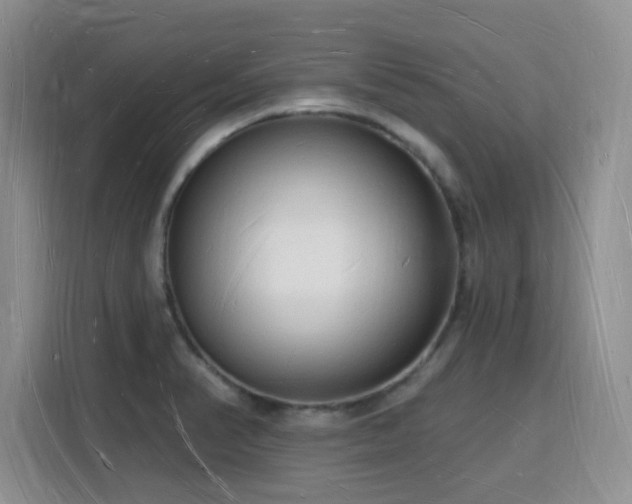 X0000116131374200911231226