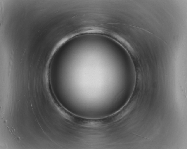 X0000116131375200911231226