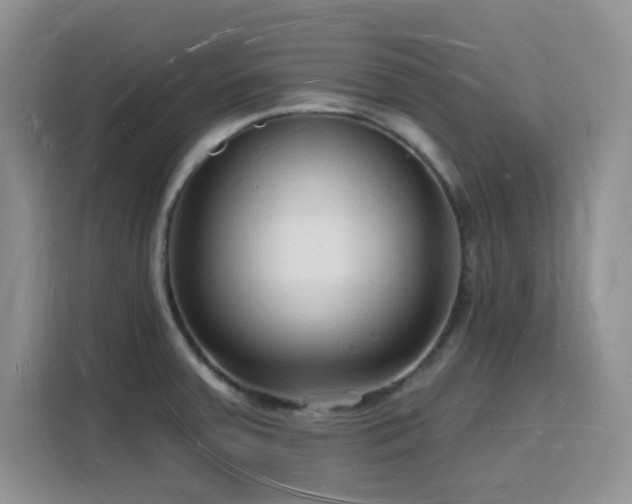 X0000116131379200911231226