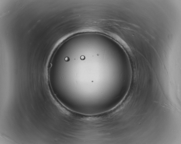 X0000116131380200911231226